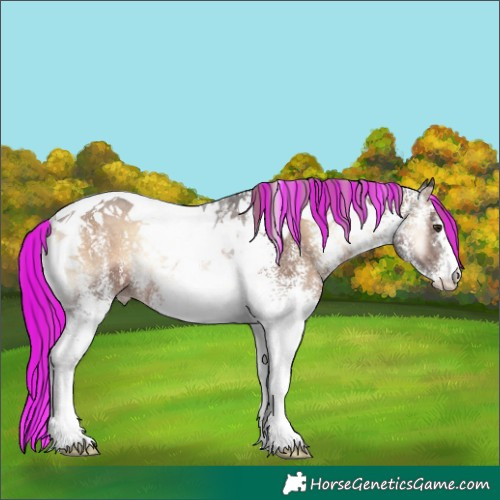 Horse Color:Painted White Spotted Liver Red Onyx Tobiano Rabicano 