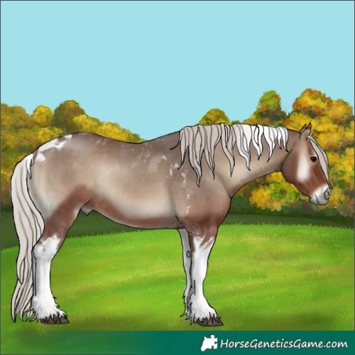 Horse Color:Silver Blue Onyx Tobiano Rabicano 