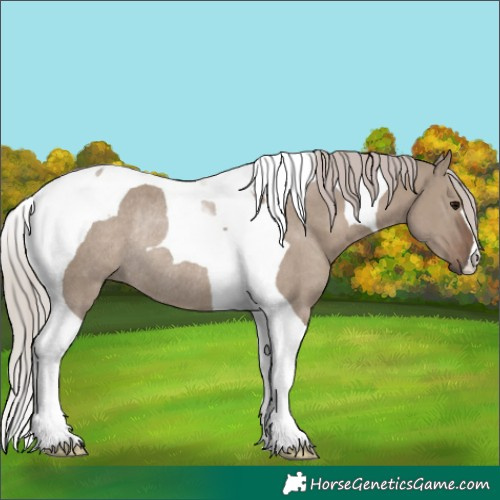 Horse Color:Silver Grullo Tobiano Rabicano 