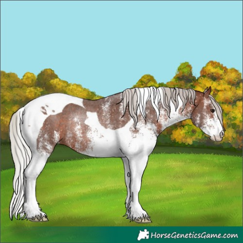 Horse Color:White Spotted Silver Brown Tobiano Rabicano