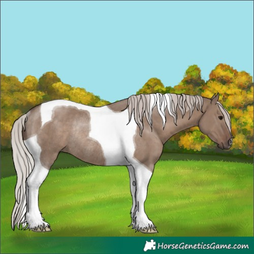 Horse Color:Silver Grullo Tobiano Rabicano 