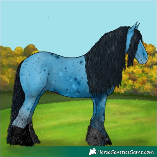Horse Color:ERROR: UNKNOWN ANOMALY