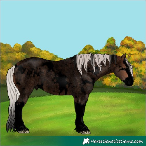Horse Color:Void White Spotted Silver Brown Roan Splash 