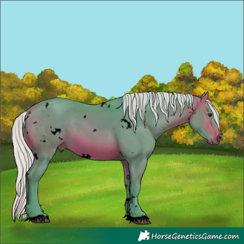 Horse Color:Void Watercolor White Spotted Silver Brown 