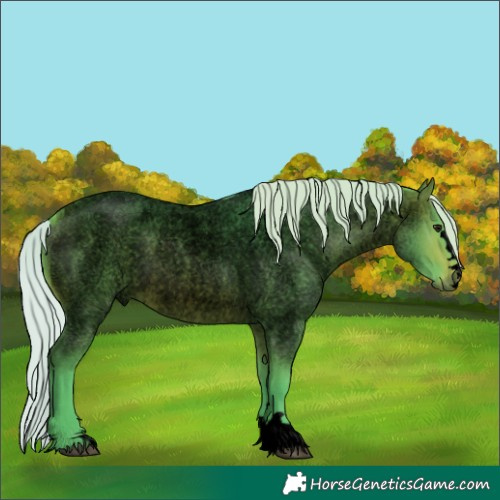 Horse Color:Void Watercolor Silver Brown Roan 