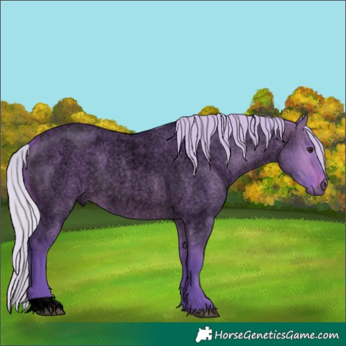 Horse Color:Void Watercolor Silver Brown Roan Dun 