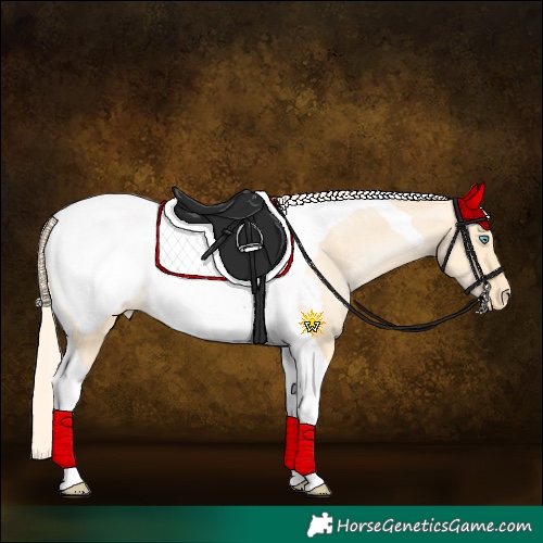 Horse Color:Palomino Pearl Dun Tobiano Snowcap Rabicano 