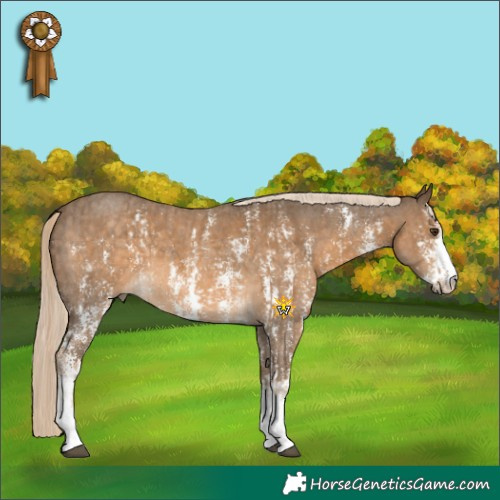 Horse Color:Chocolate Palomino Sabino  and Chocolate Palomino Sabino 