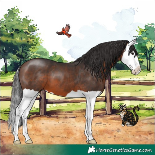Horse Color:Brown Splash 
