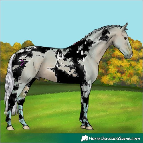 Horse Color:Watercolor Silver Brown Dun Tobiano 