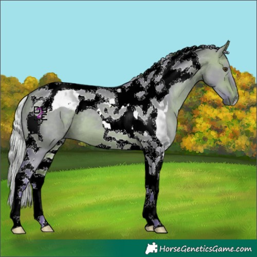 Horse Color:Watercolor Silver Bay Dun Tobiano 