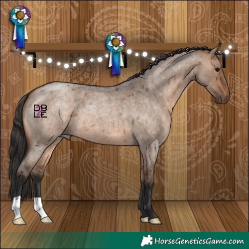 Horse Color:Bay Roan Dun 