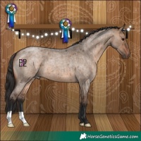 Horse Color:Bay Roan Dun