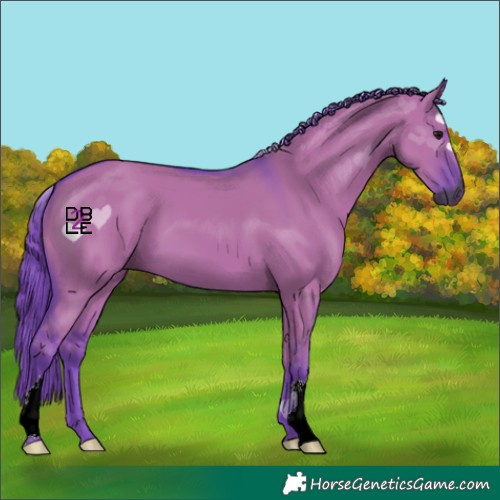 Horse Color:Gray Watercolor Chocolate Grullo 