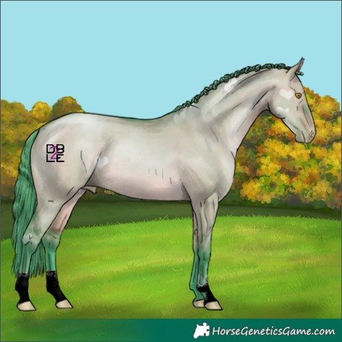 Horse Color:Gray Watercolor Brown Pearl Dun 