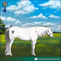 Horse Color:White Spotted Bay Dun Splash Tobiano Rabicano