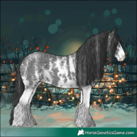 Horse Color:Black Sabino