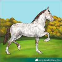 Horse Color:Classic Champagne Roan Dun Near Leopard Brindle