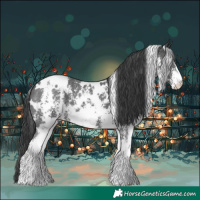 Horse Color:White Spotted Black Sabino 