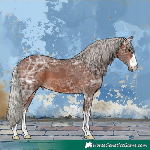 Horse Color:Silver Brown Ice 
