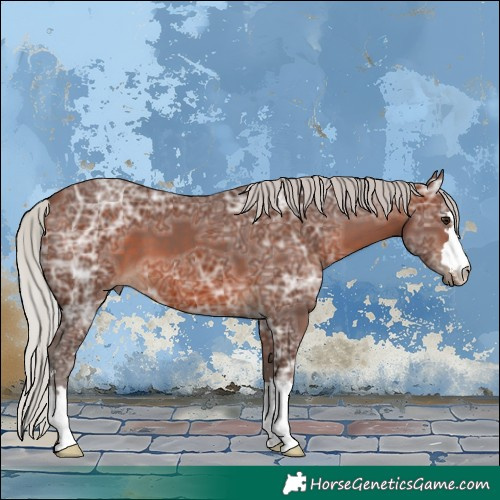 Horse Color:Silver Brown Ice 