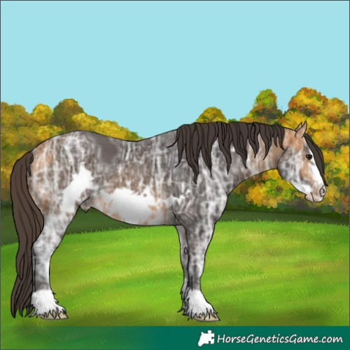 Horse Color:Buckskin Ice Frame