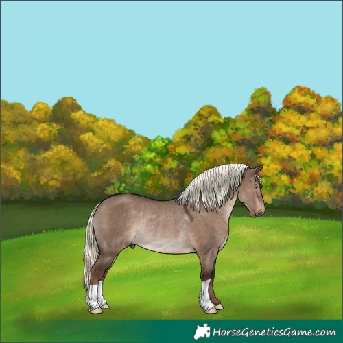 Horse Color:Liver Red Dun Mushroom Rabicano 
