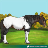 Horse Color:Brown Tobiano Near Fewspot