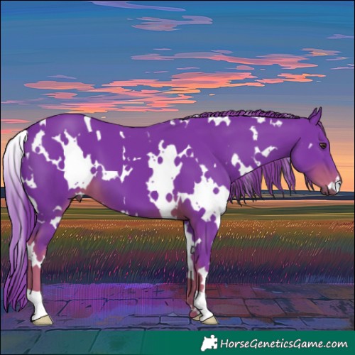 Horse Color:Watercolor White Spotted Liver Chestnut 