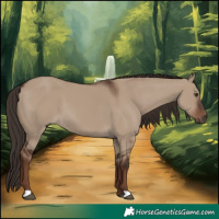 Horse Color:Liver Red Dun 