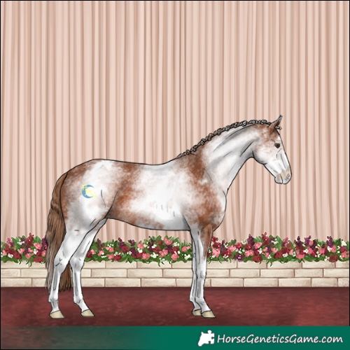 Horse Color:White Spotted Chestnut Varnish 