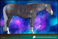 Horse Color:Watercolor Midnight Perlino