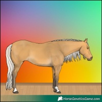 Horse Color:Silver Buckskin