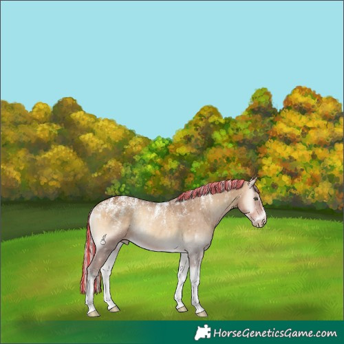 Horse Color:Powder White Gray Painted Silver Perlino Onyx