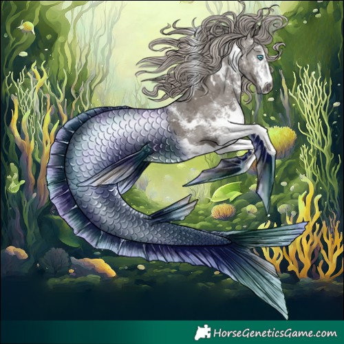 Horse Color:Gray White Spotted Silver Grullo Merle 