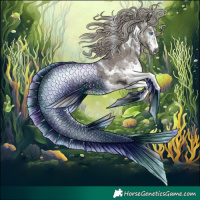 Horse Color:Gray White Spotted Silver Grullo Merle