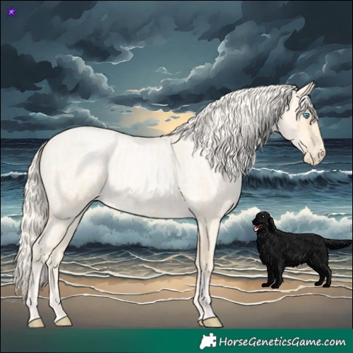 Horse Color:Palomino Roan Pearl  and Palomino Roan Pearl Rabicano 