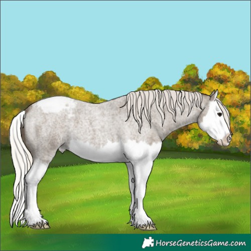 Horse Color:Silver Smoky Blue Roan Splash Varnish 