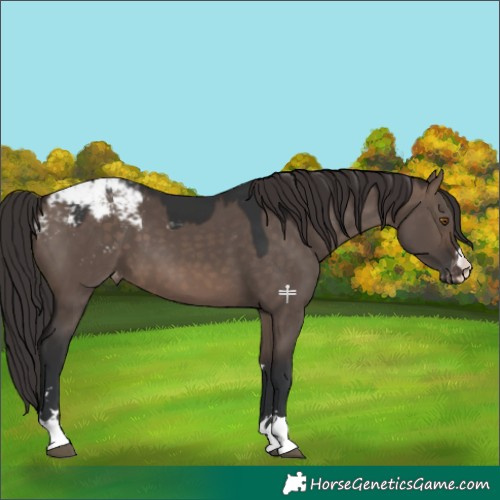 Horse Color:Brown Dun Mushroom Snowcap 