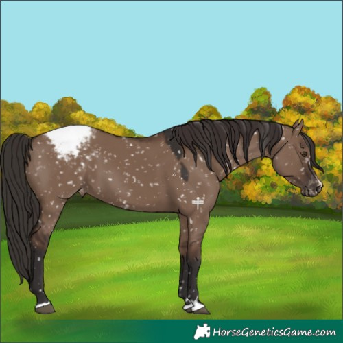 Horse Color:Liver Red Dun Snowcap 