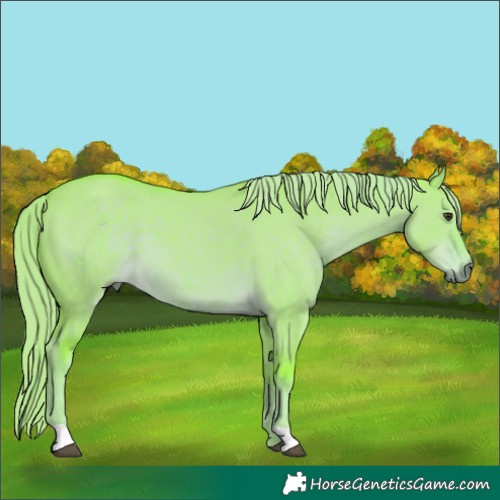 Horse Color:Watercolor Liver Red Dun 