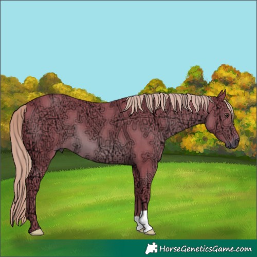 Horse Color:Watercolor Chestnut Ice 