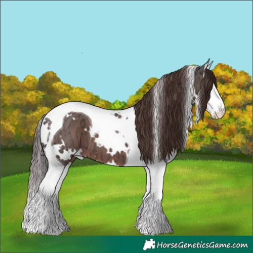 Horse Color:White Spotted Liver Chestnut Ice Splash Tobiano 