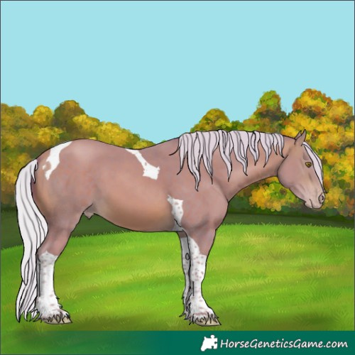 Horse Color:Watercolor Silver Sable Champagne Tobiano