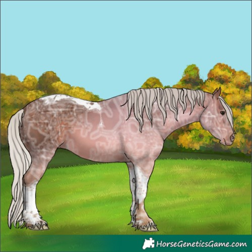 Horse Color:Silver Brown Ice Tobiano 