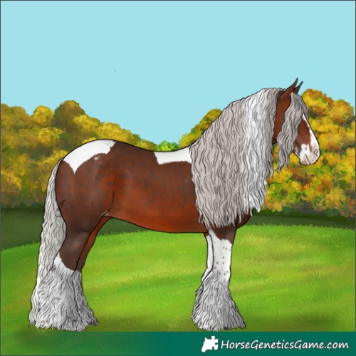 Horse Color:Silver Brown Splash Tobiano Varnish 