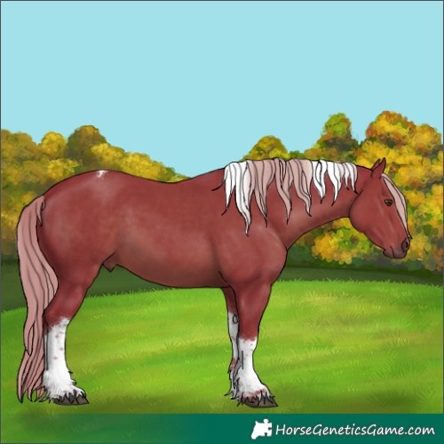 Horse Color:Watercolor Liver Chestnut Tobiano