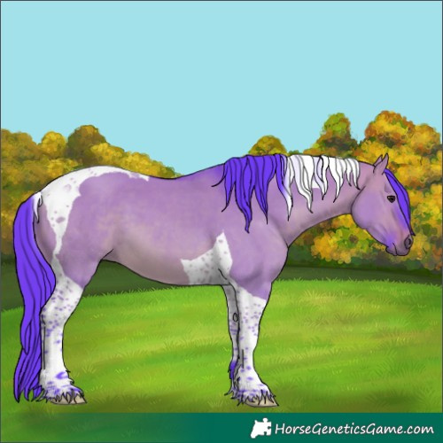 Horse Color:Watercolor Bay Dun Tobiano 