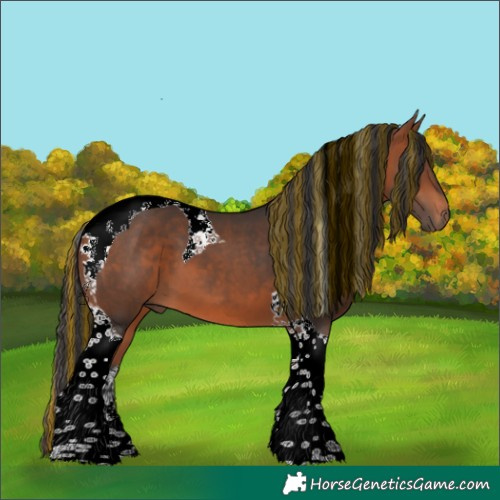 Horse Color:Painted Bay Tobiano 