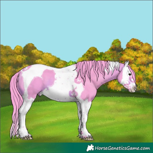Horse Color:Watercolor Brown Splash Tobiano 